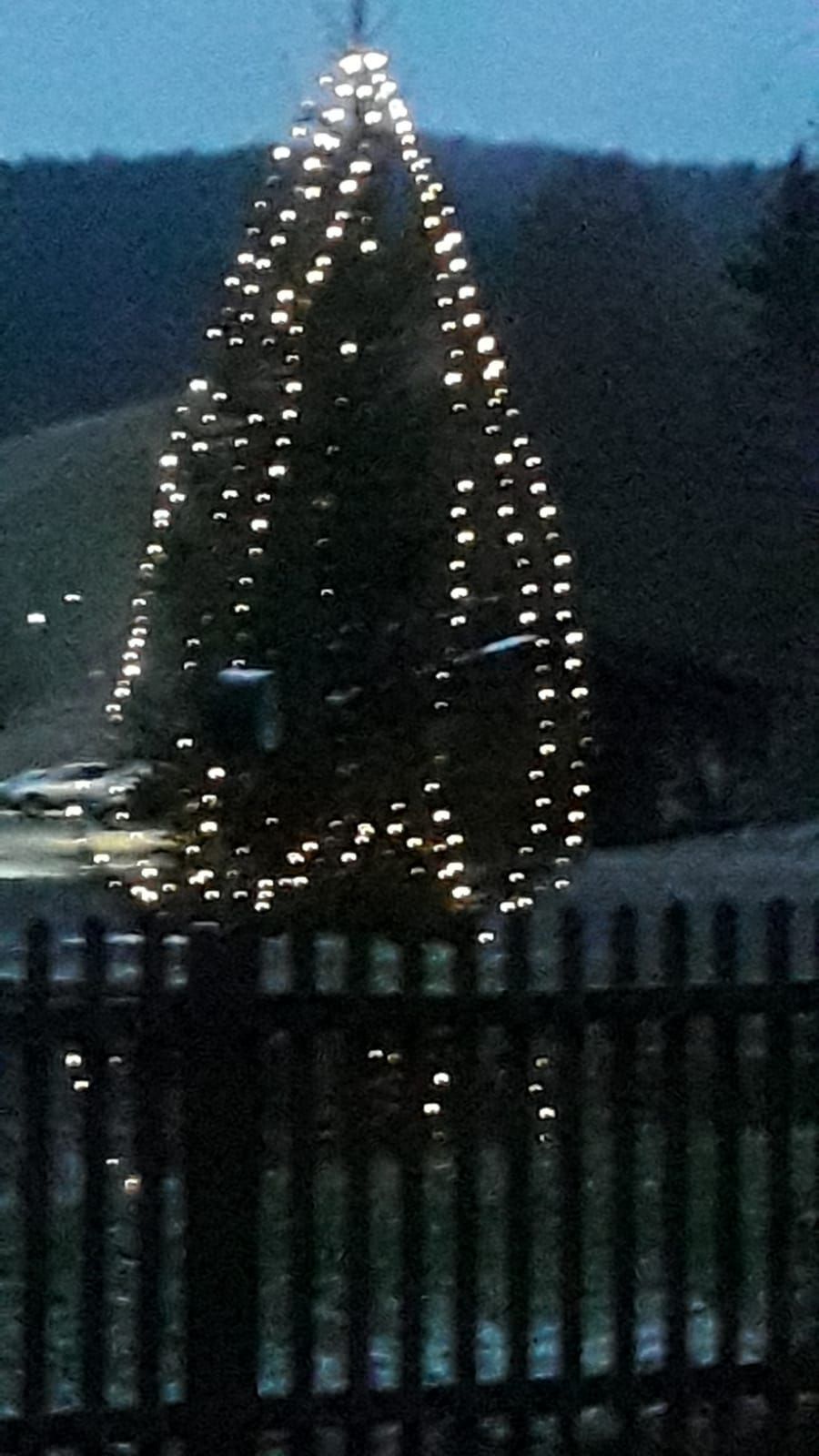 Weihnachtsbaum Dorfplatz Lichter an